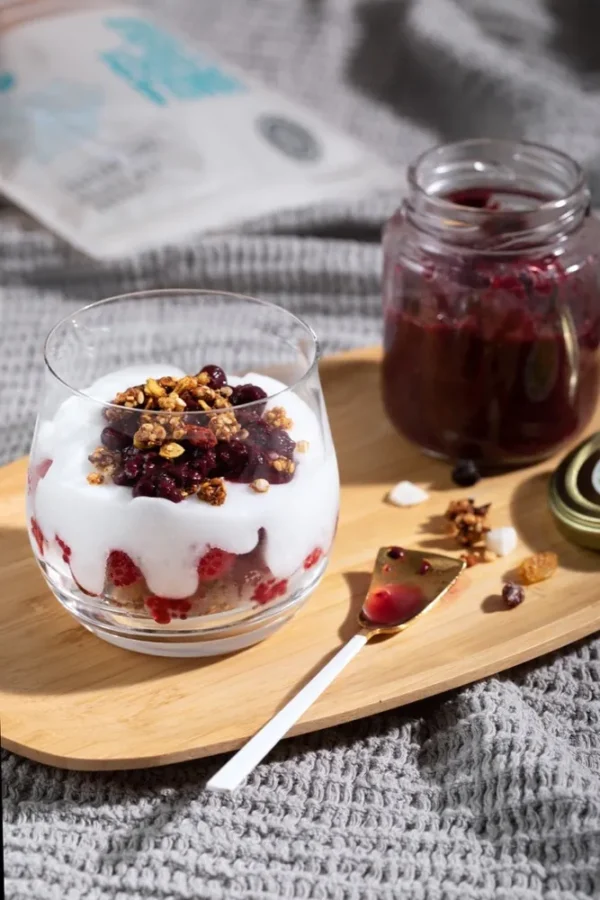 Kit: 4 Iogurtes de Coco + Geléia Antiox + Granola